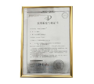 實(shí)用新型專利證書(shū) (10)